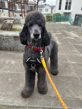 なおちゃん