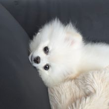 けいちゃんぬ