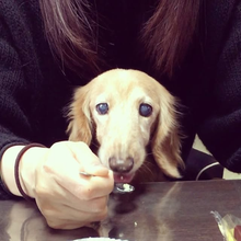 なつこ