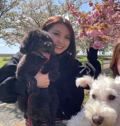 優しいペットケア専門 ここちゃん☕️