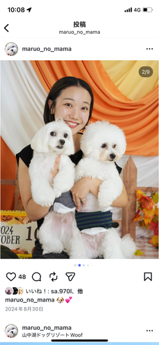 トリマー　福島